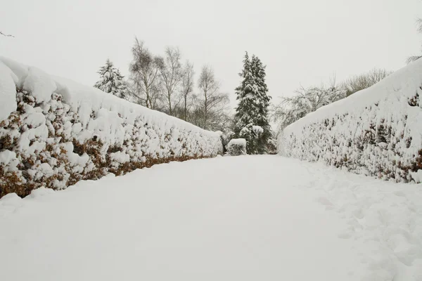 被雪覆盖的小路 — 图库照片