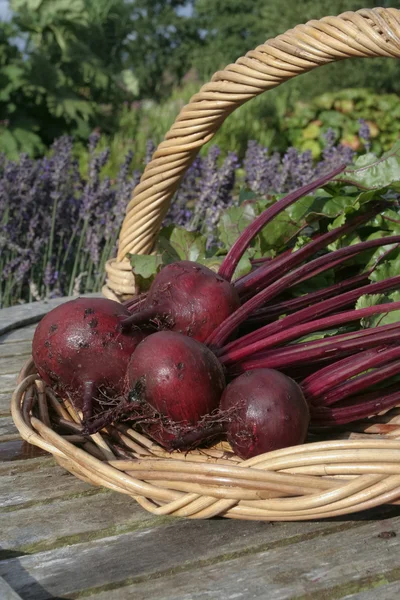 Vruchtenmengsels op mand buitenshuis — Stockfoto