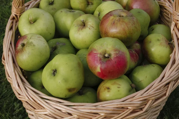 Ripe green apples — Stock Photo, Image