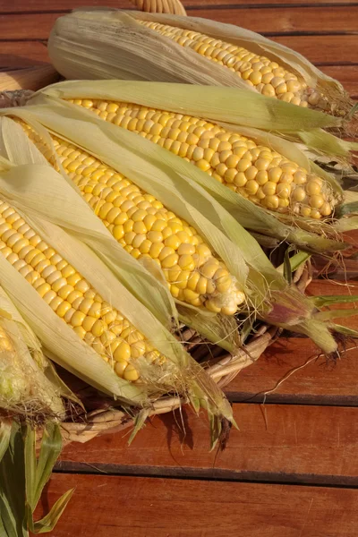 Fresh corn — Stock Photo, Image