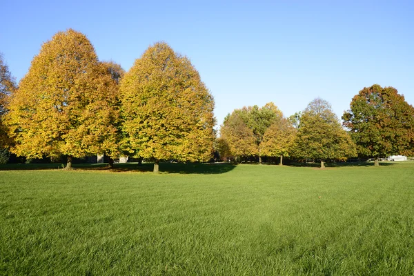 Scena autunnale colorata in un parco — Foto Stock