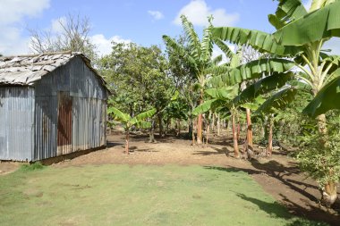 tropik bölgelerde döken eski metal