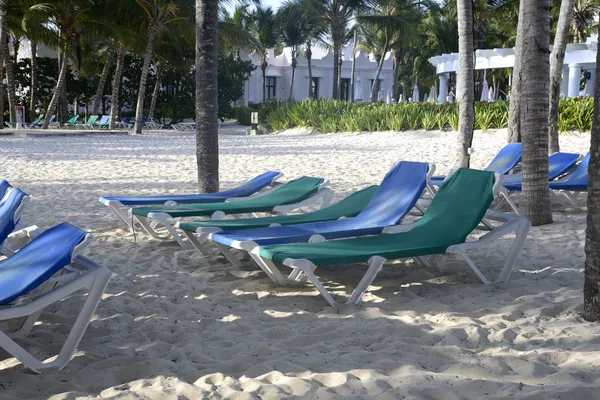 empty lounge chairs on a beach