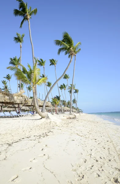 Przy plaży Bavaro w punta cana na Dominikanie — Zdjęcie stockowe