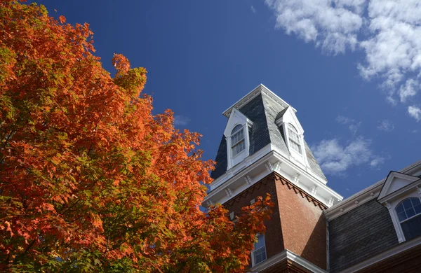 Bright autumn tree by roof — Stock Photo, Image