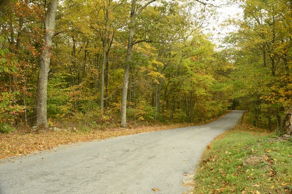Estrada rural no outono em Connecticut rural — Fotografia de Stock