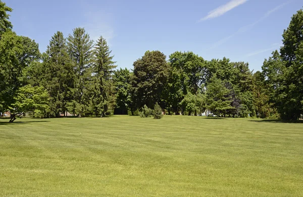 Large grass area — Stock Photo, Image