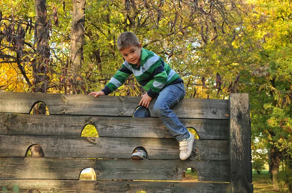 Az őszi parkban játszó gyerekeket — Stock Fotó