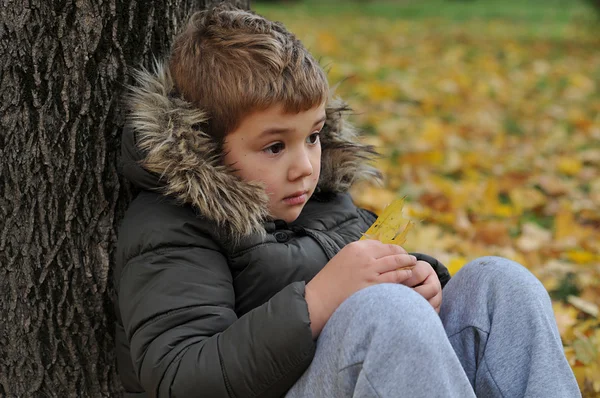 Φωτογραφία του χαριτωμένο μικρό αγόρι, διασκεδάζοντας στο πάρκο φθινόπωρο — Φωτογραφία Αρχείου