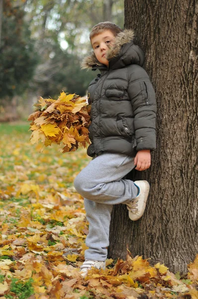Sevimli küçük çocuk sonbahar park eğlenmek fotoğrafı — Stok fotoğraf