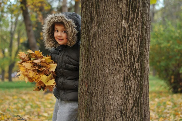 Foto do menino bonito se divertindo no parque de outono — Fotografia de Stock