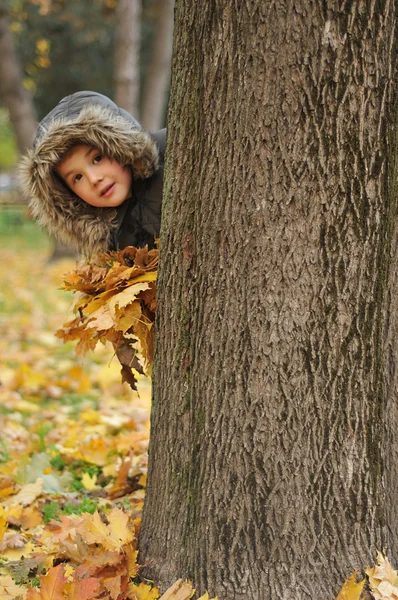 Foto de lindo niño divirtiéndose en el parque de otoño —  Fotos de Stock