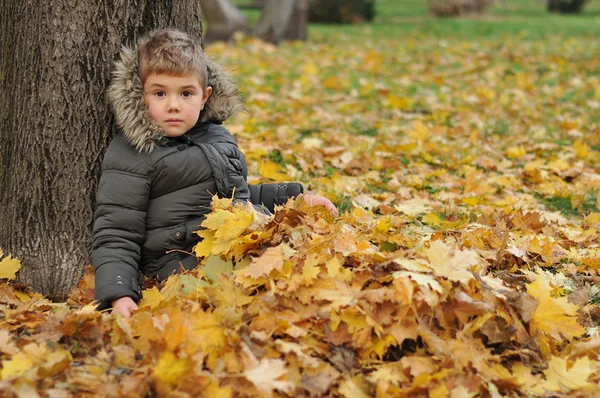 Sevimli küçük çocuk sonbahar park eğlenmek fotoğrafı — Stok fotoğraf