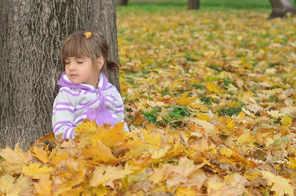 Χαριτωμένο κοριτσάκι παίζει με τα φύλλα στο πάρκο φθινόπωρο — Φωτογραφία Αρχείου