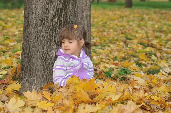 Schattig klein meisje is spelen met bladeren in de herfst park — Stockfoto