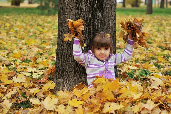 かわいい女の子は秋の公園で葉で遊んでいます — ストック写真