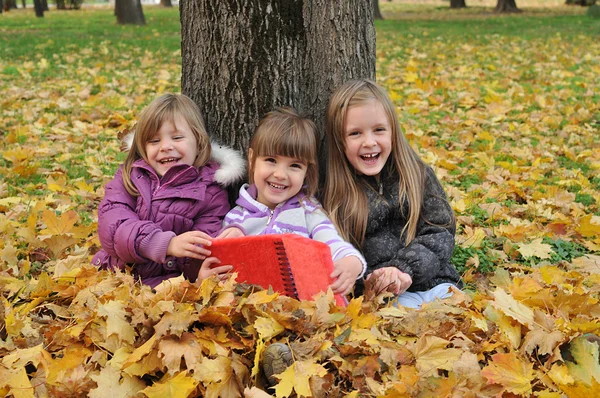 Enfants jouant dans le parc d'automne — Photo