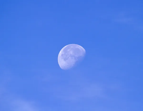 September Moon Stockbild