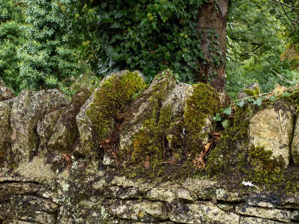 Antiguo Muro Piedra Cotswold Con Liquen Musgo — Foto de Stock