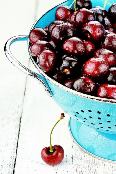 Morello Cherries — Stock Photo, Image