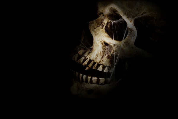 Dark Skull — Stockfoto