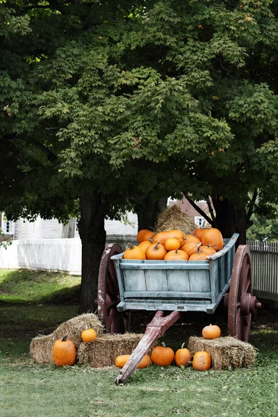 Wagon vol pompoenen — Stockfoto