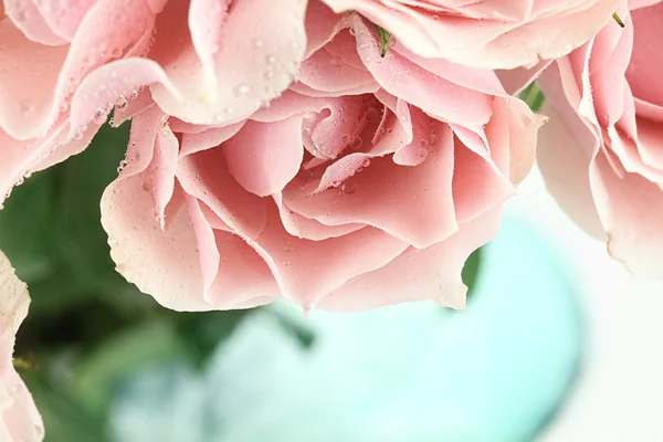粉红色的茶玫瑰 — 图库照片