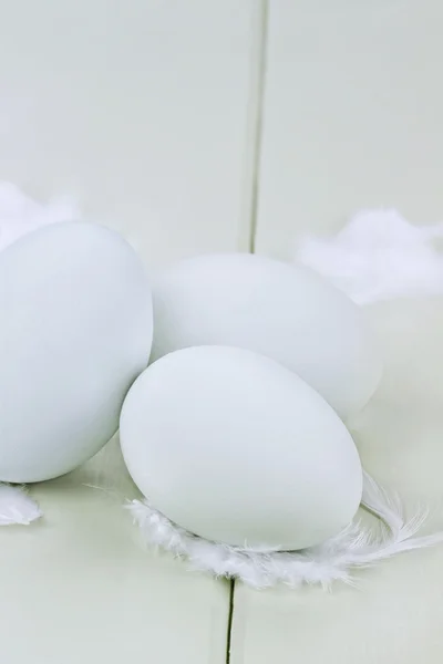 신선한 Ameraucana 계란과 깃털 2 — 스톡 사진