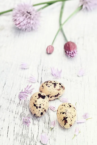 Vaktelägg och färsk gräslök — Stockfoto