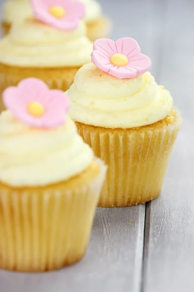 Cupcakes dans une rangée — Photo