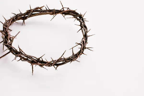 Crown of Thorns over White — Stock Photo, Image