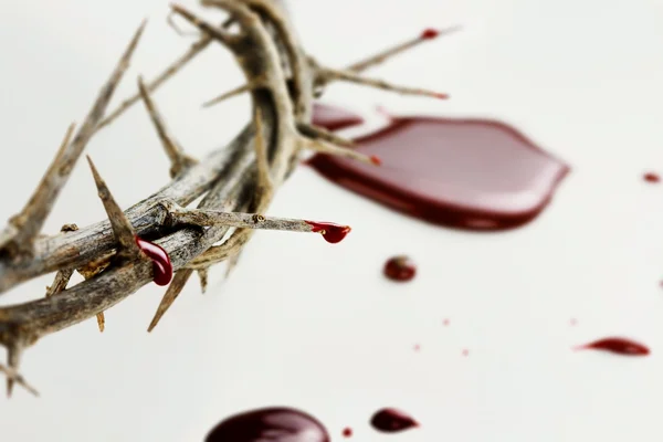 Drops of  Blood — Stock Photo, Image