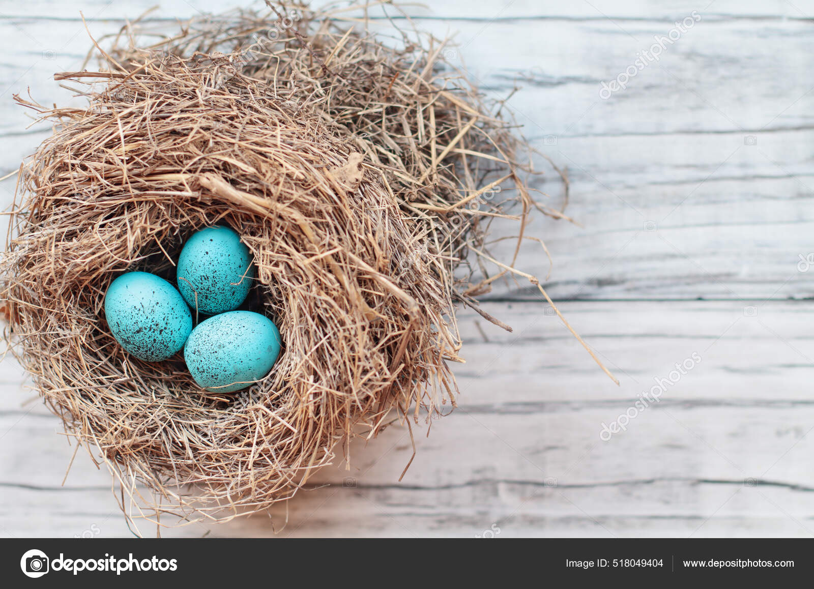 What Bird Lays Blue Speckled Eggs