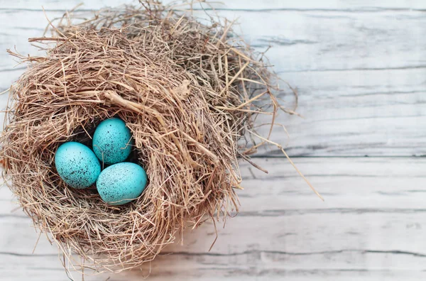 素朴な白い木製の背景に青い斑点のある色の鳥の卵を持つ本当の巣 トップビュー フラットレイアウト 背景がぼやけた選択的フォーカス — ストック写真