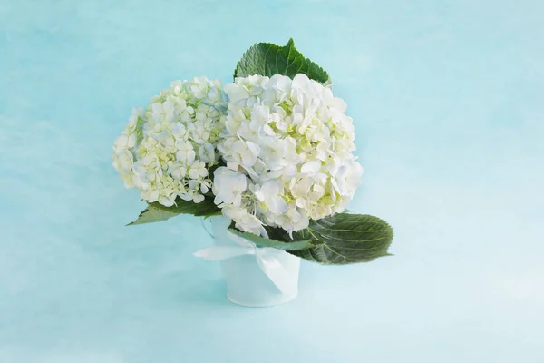 Květinová Aranžmá Kytice Tří Velkých Bílých Modrých Hortenzií Modravém Pozadí — Stock fotografie