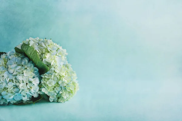 Ramo Arreglo Floral Tres Grandes Hortensias Blancas Azules Sobre Telón — Foto de Stock