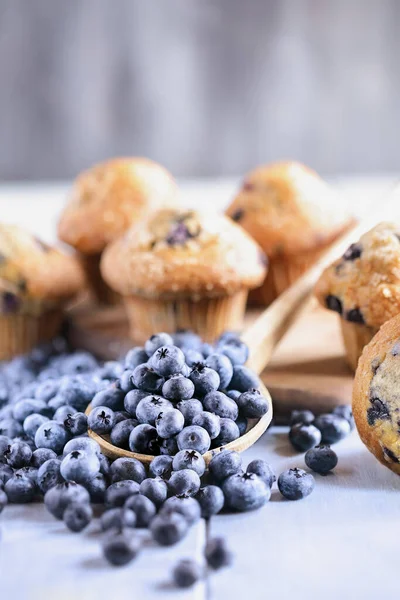 Ev yapımı yaban mersinli kek ve taze yabanmersini. Ön planda ve arka planda bulanık böğürtlenlere odaklan.