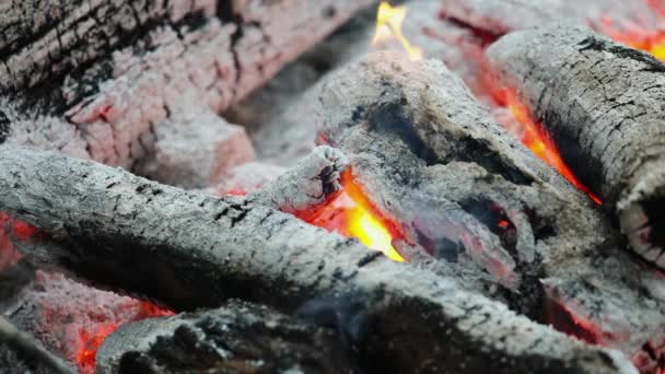 Vue Dessus Des Flammes Autour Des Grumes Brûlantes Feu Camp — Video