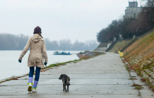 Девочка-подросток гуляет с собакой в облачный осенний день — стоковое фото