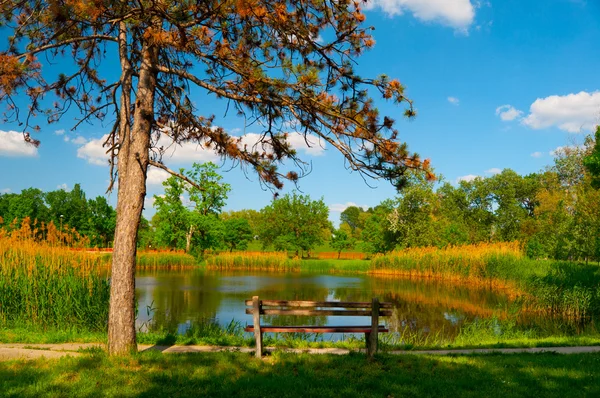 Όμορφο καλοκαιρινό τοπίο λίμνη με ξύλινο πάγκο. — Φωτογραφία Αρχείου