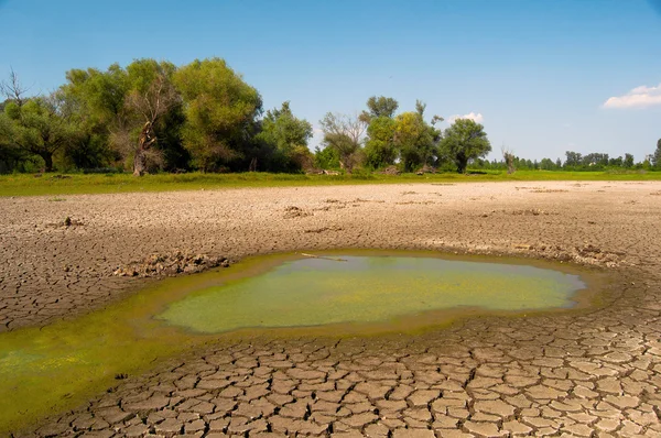 Verschmutztes Wasser und rissiger Boden des ausgetrockneten Sees während der Dürre — Stockfoto