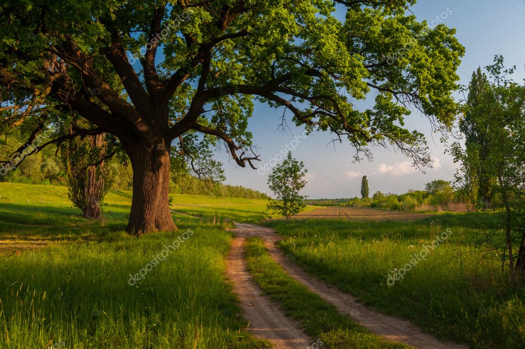 Лесом По Проселку Скачать Бесплатно Лесом По Проселку Скачать Бесплатно