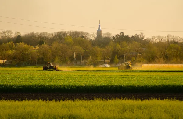 Traktor dolgozik a mezőgazdasági területen napos Tavasz — Stock Fotó