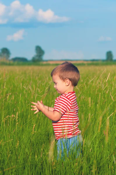 牧草地で遊んで小さな男の子 — Stock fotografie