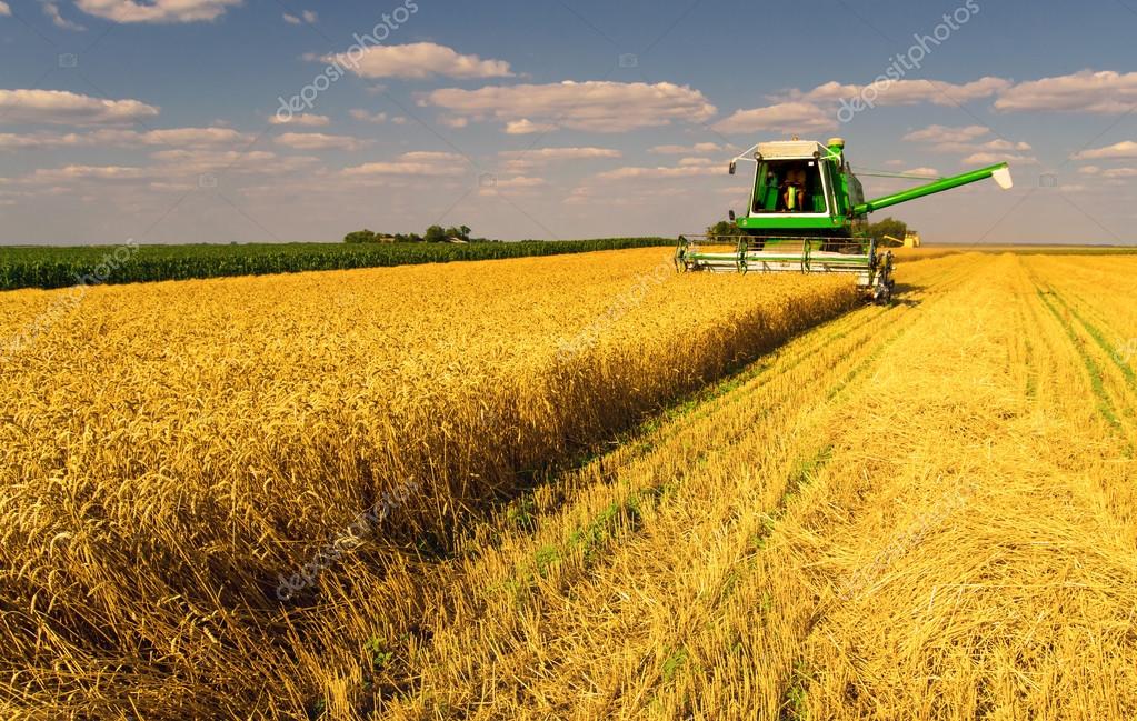 agriculture #hashtag