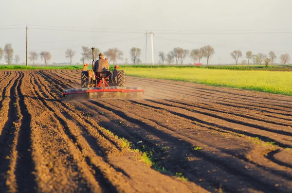 농업 분야를 plowing 하는 트랙터 — 스톡 사진