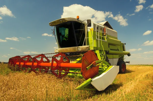 Combine colheitadeira trabalhando no campo de trigo — Fotografia de Stock