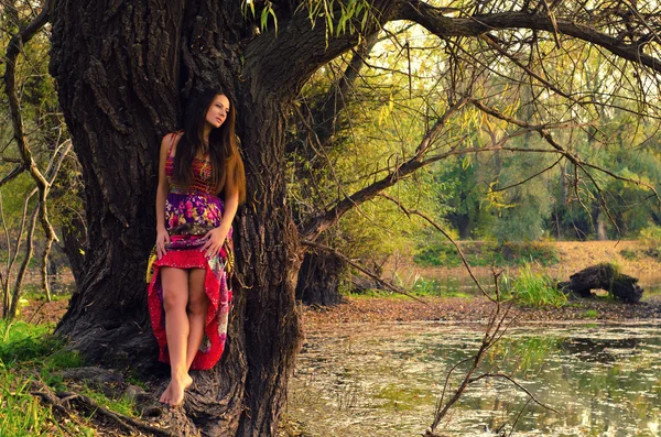 Mulher bonita em pé junto à árvore — Fotografia de Stock
