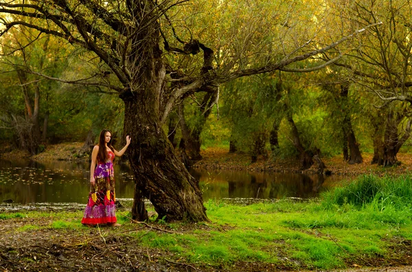 Élégante dame debout à côté du vieil arbre — Photo