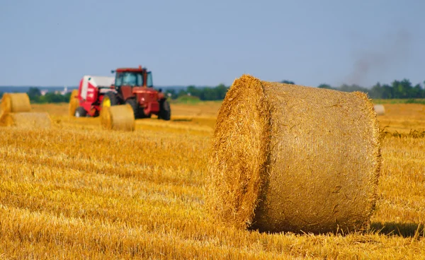 Traktor macht Heuballen auf landwirtschaftlichem Feld Stockfoto
